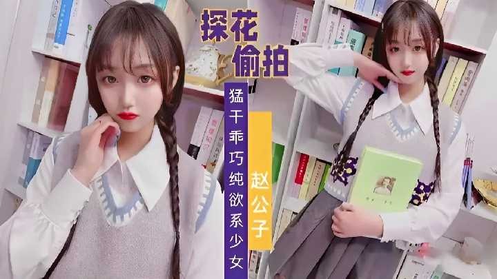 赵公子探花-猛干乖巧纯欲系少女